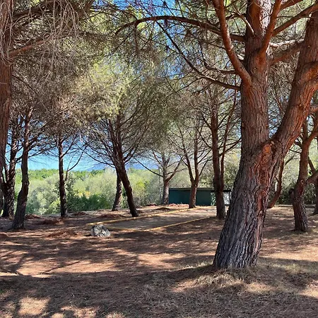 Florent - 2 Pers Piscine Flo 18 Saint-Florent (Corsica)
