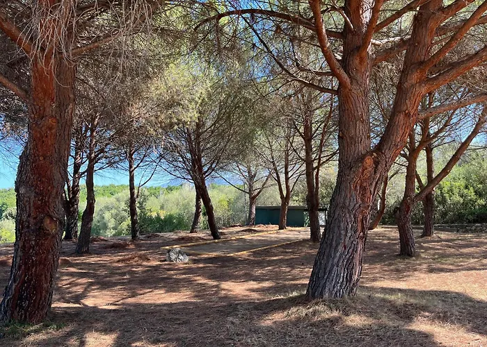 Florent - 2 Pers Piscine Flo 18 Saint-Florent (Corsica)